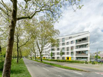 Außenperspektive, Straßenseite