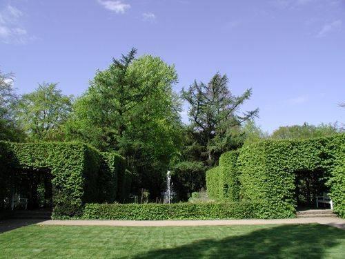 Stadtpark / Botanischer Garten G�tersloh - G�tersloh
