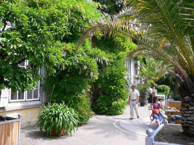 Botanischer Garten und Schlossgarten in M�nster - M�nster