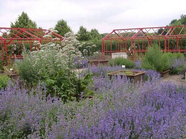 Br�ckenkopfpark (Landesgartenschau 1998) - J�lich