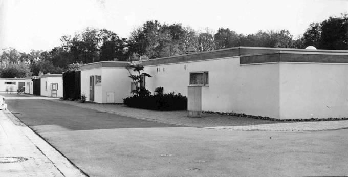 Teppichsiedlung Schlesienstra�e - M�nster
