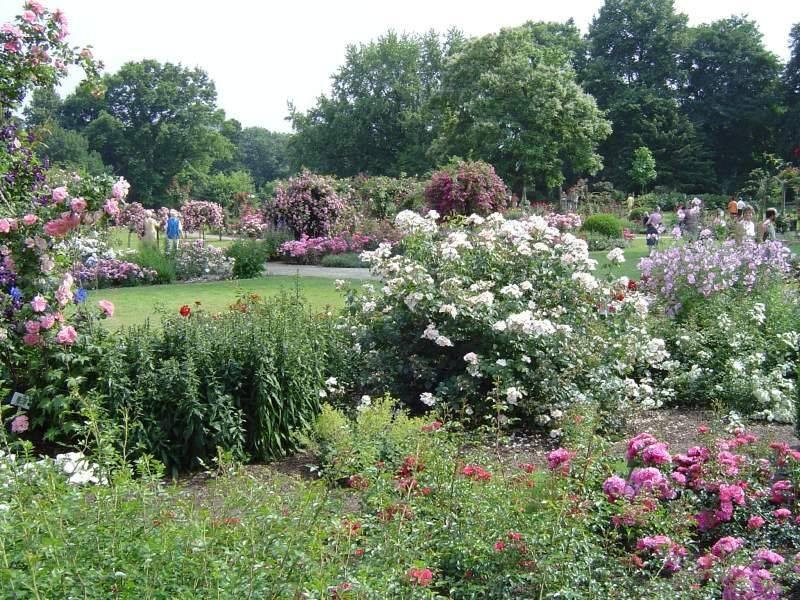 Westfalenpark - Dortmund