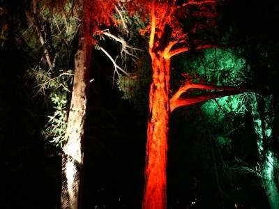 Westfalenpark - Dortmund