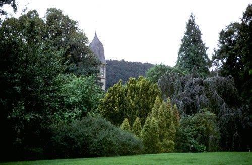 Schlosspark Wendlinghausen - D�rentrup