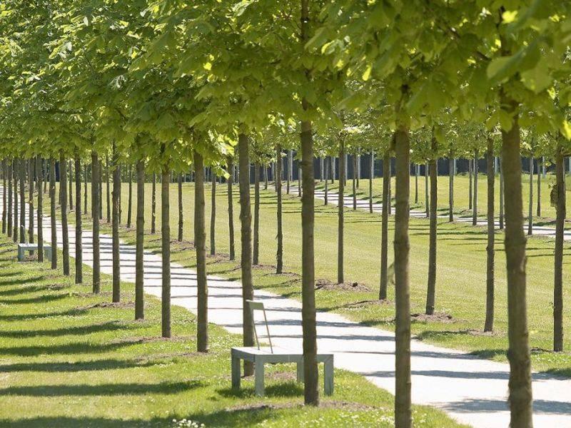 Landschaftspark Bagno - Steinfurt