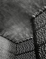 Kolumba Museum K�ln - K�ln
