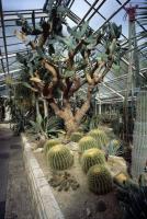 Botanischer Garten / Alte Flora - K�ln