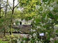 Botanischer Garten und Schlossgarten in M�nster - M�nster