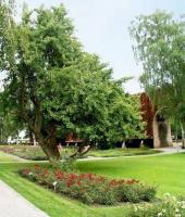 Kurpark Bad Salzuflen - Bad Salzuflen