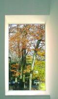 Haus der Bilder - K�ln