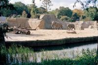 Elefantenpark - K�ln