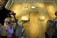 Widukindmuseum - Enger