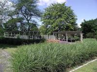 Rheinpark K�ln - K�ln