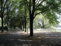 Rheinpark K�ln - K�ln