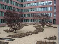 Freianlagen und H�fe am Finanzamtszentrum - Aachen