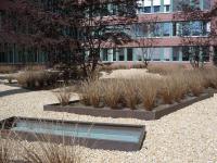 Freianlagen und H�fe am Finanzamtszentrum - Aachen