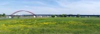 Rheinhauser Br�cke (Br�cke der Solidarit�t) - Duisburg