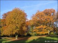 Schlosspark Senden - Senden