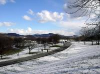 Rheinauenpark Bonn - Bonn
