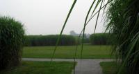 Parkanlagen Schloss Dyck - J�chen