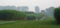 Parkanlagen Schloss Dyck - J�chen