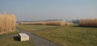 Parkanlagen Schloss Dyck - J�chen