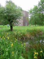 Freilichtmuseum Insel Hombroich - Neuss