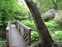 Freilichtmuseum Insel Hombroich - Neuss