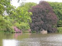 Rombergpark - Dortmund