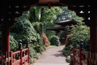 Japanischer Garten Leverkusen - Leverkusen