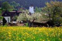 Ev. Kirche in Bad Laasphe-Puderbach - Bad Laasphe