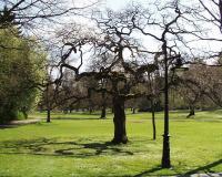 Gr�flicher Kurpark Bad Driburg - Bad Driburg