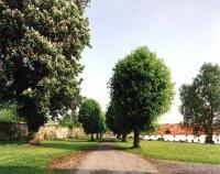 Kloster Dalheim - Lichtenau