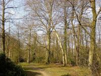 Gartenanlagen Haus Welbergen - Ochtrup