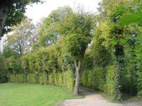 Schlosspark Hovestadt - Lippetal