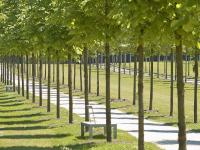 Landschaftspark Bagno - Steinfurt