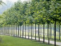 Landschaftspark Bagno - Steinfurt