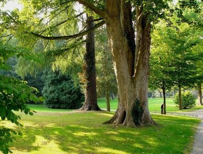 Palaisgarten Detmold