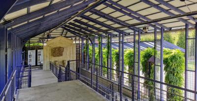 Blick in das Glashaus 