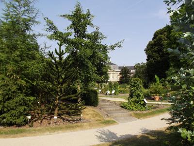 Botanischer Garten mit Schloss im Hintergrund