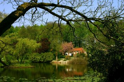 See im Botanischen Garten und Schlossgarten in Münster