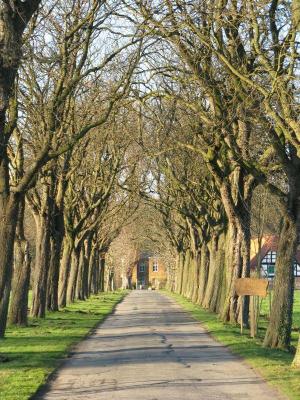 Allee zum Schloß