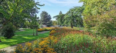 Im Rheinpark Köln