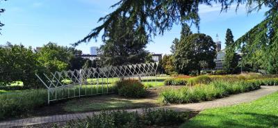 Im Rheinpark Köln