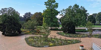 Beetanlage im Rheinpark Köln