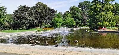 Großes Wasserbecken im Rheinpark