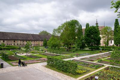 Remtergarten