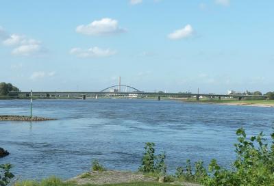 Blick von Süden auf die Josef-Kardinal-Frings-Brücke