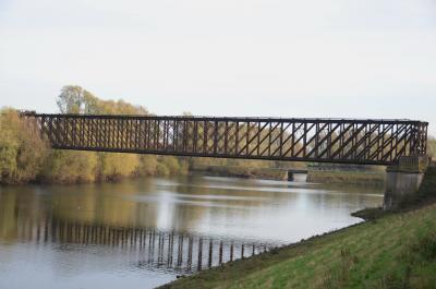 Blick über den Altrhein auf die Eisenbahnbrücke