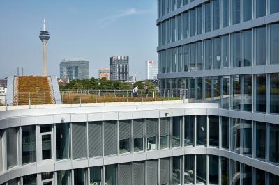 Bürocampus WPP Headquarter Mizal, Dachlandschaft und Fassadenansicht